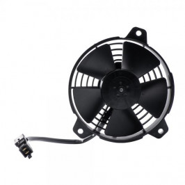 Vertigo Vertical e Combat Fan 2