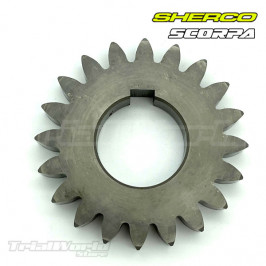 Pignon primaire Sherco ST Trial et Scorpa SC