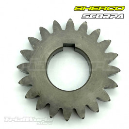 Primary sprocket Sherco ST Trial and Scorpa SC