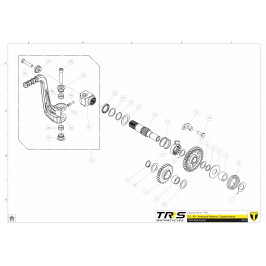Pignone di avviamento TRRS 2