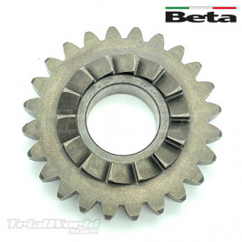 Pignon de démarreur Beta EVO et Beta REV3