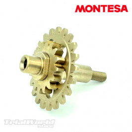 Albero della pompa dell'acqua Montesa Cota 4RT - Cota 301RR