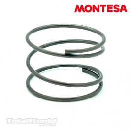 Ratchet spring for Montesa Cota 4RT - Cota 301RR