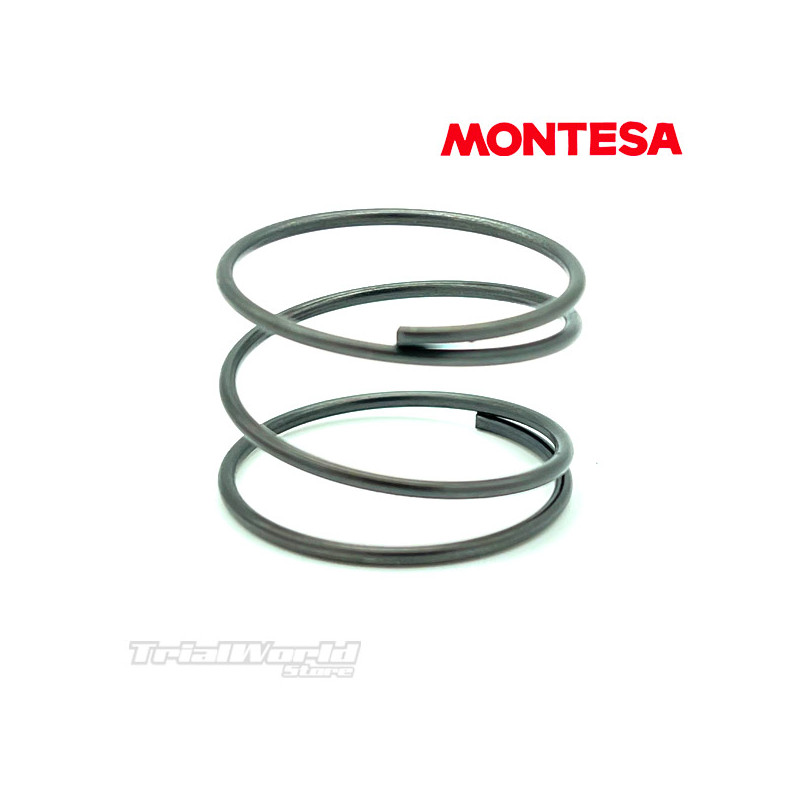 Ratchet spring for Montesa Cota 4RT - Cota 301RR