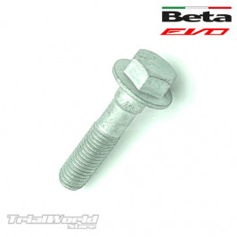 Bullone testa cilindro Beta EVO 7x31
