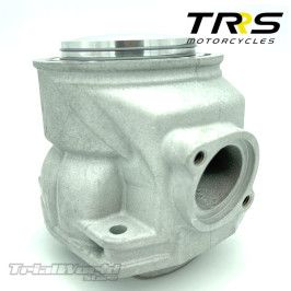 TRRS cylinder and piston assembly