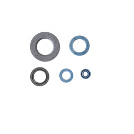 Kit de joints de moteur Fantic 305 - Fantic 307 - Fantic Coach