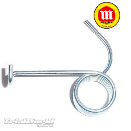 Chain tensioner spring...