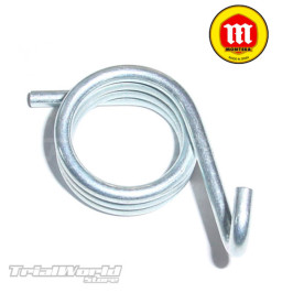 Chain tensioner spring...