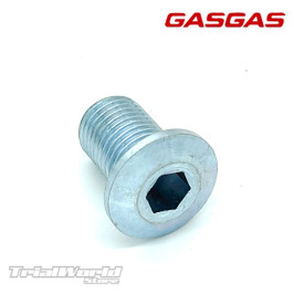 Boulon d'axe de bras oscillant GASGAS TXT Trial