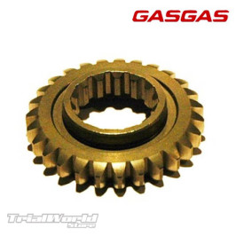 Pignone primario GASGAS TXT trial