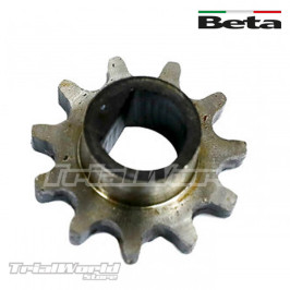 Pignon de transmission Beta Minitrial- E 20" XL