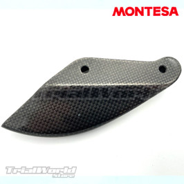 Rear disc protector carbon Montesa Cota 4RT - Cota 301RR - Cota 315R