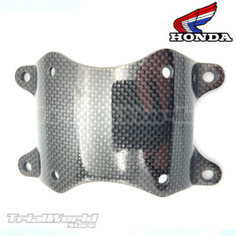 Fork carbon brace Honda TLR...