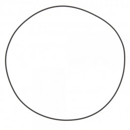 O-ring del coperchio della frizione Vertigo Nitro