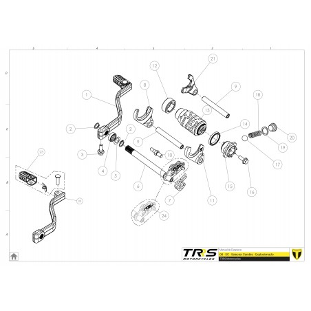 TRRS gear selector spring