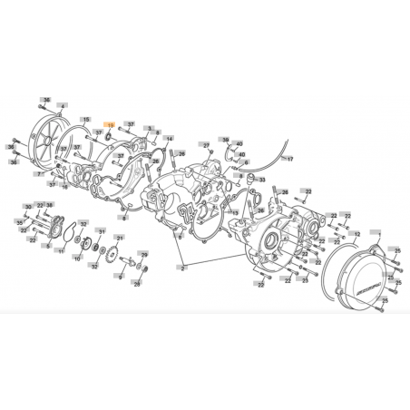 Starterpedaldichtung Sherco seit 2011 und Scorpa 17x24x5