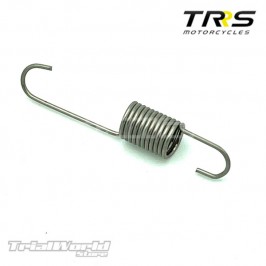 Gear selector spring TRRS...