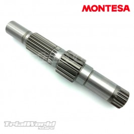 Asse secondario Montesa Cota 4RT - Cota 300RR - Cota 301RR