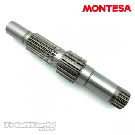 Essieu secondaire Montesa Cota 4RT - Cota 300RR - Cota 301RR
