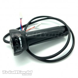 Beta Mini Vollbeschleunigertrialelectric 36 volts