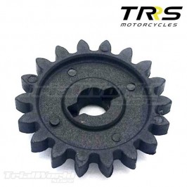 Piñón bomba de agua TRRS - TRS Motorcycles