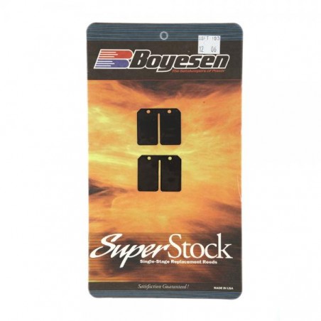 Superstock Ansaugflügel für Beta REV 00-08