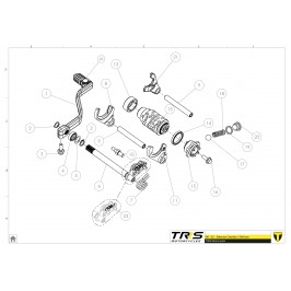 Gear shaft seal TRS all...