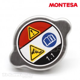 Kühlerdeckel Montesa Cota 4RT - 4Ride 2
