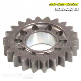 Piñón intermedio de arranque Sherco STF y Scorpa SCT desde 2023