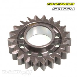 Piñón intermedio de arranque Sherco STF y Scorpa SCT desde 2023 2