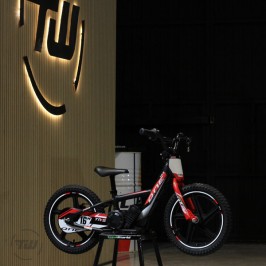TRRS ON-E BALANCE 16" children's electric scooter