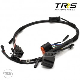 Elektrische Hauptinstallation TRRS ONE - XTRACK