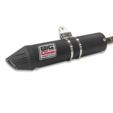 Sistema tubo escape completo BIG ONE RAW - Sherco SE 50cc