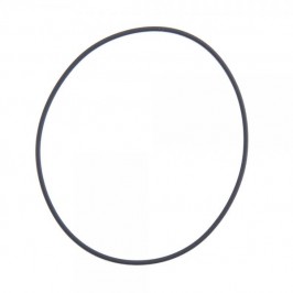 O-ring interno testa cilindro TRRS 250cc/280cc/300cc - 53013
