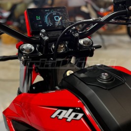 Beta Alp 4.0 2025 - ROUGE 2