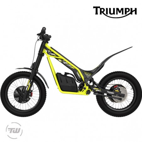Triumph TXP 20 electric