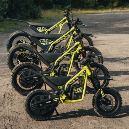 Triumph TXP 20 electric