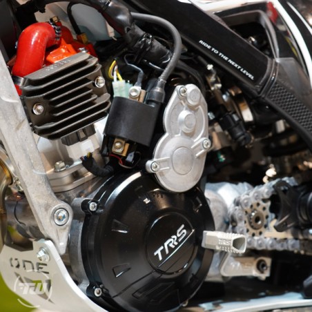 TRRS ONE RR 300 RR 300 2026 electric start (injection)