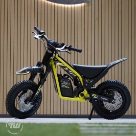 Triumph TXP 12 Kinder Elektro 2