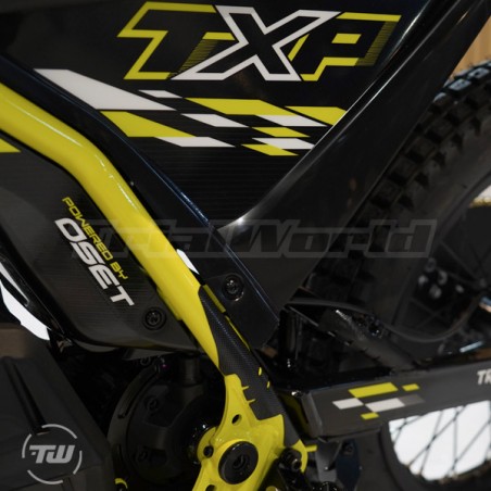 Triumph TXP 20 electric