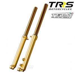Fork Tech gold-plated 39mm for motorcycles of trial