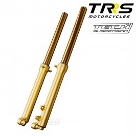 Tech fork gold-plated 39mm...