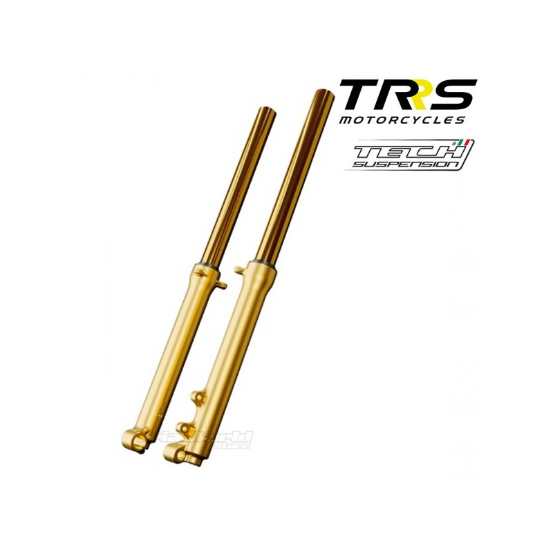 Tech fork gold-plated 39mm for trial...