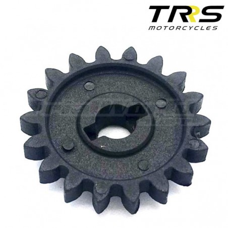 tRRS Wasserpumpe Ritzel trial