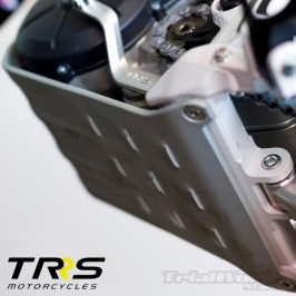 Placa cubrecárter motor de TRRS