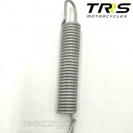 TRRS One and RR spring struts