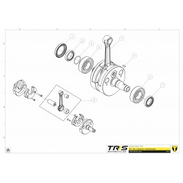Double lip seal TRRS 35x47x6 2