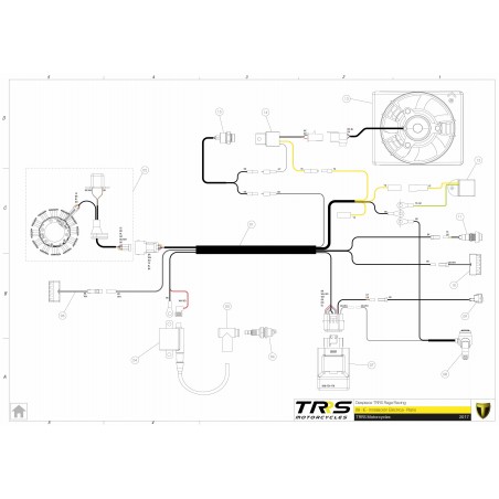 Trial Leonelli A/C 12 Volt Current Regulator Trial Leonelli A/C 12 Volt
