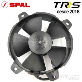 Tifoso SPAL TRRS One e Raga Racing SPAL